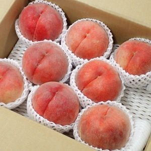 ｗ7月【3/31までの特別価格】『年間68品種の桃を栽培』品種はおまかせ！