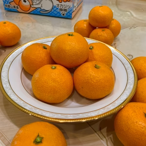 ご家庭用[果汁溢れる完熟みかん❗️コクミノリ果]　2Sサイズ　2kg~