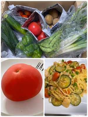 みんなの投稿の画像