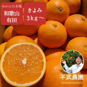 きよみオレンジ｜秀品 3Kg～　農家直送｜和歌山｜有田｜田口