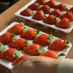 超ビッグ紅ほっぺいちご特大サイズ24粒入り