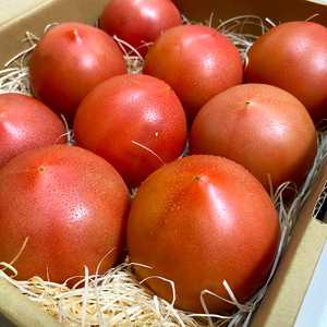 甘みだけじゃない！スッパ甘い本格トマト・りんか(2kg)