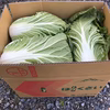 高原野菜、はくさいL玉、6個入り