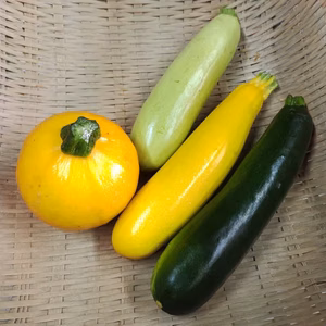 [なゆた農場]ズッキーニ5~30本セット※動物性肥料不使用
