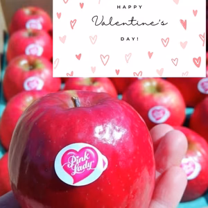 【バレンタイン限定】ピンクレディ®｜大人のりんごギフトバレンタインカード付き