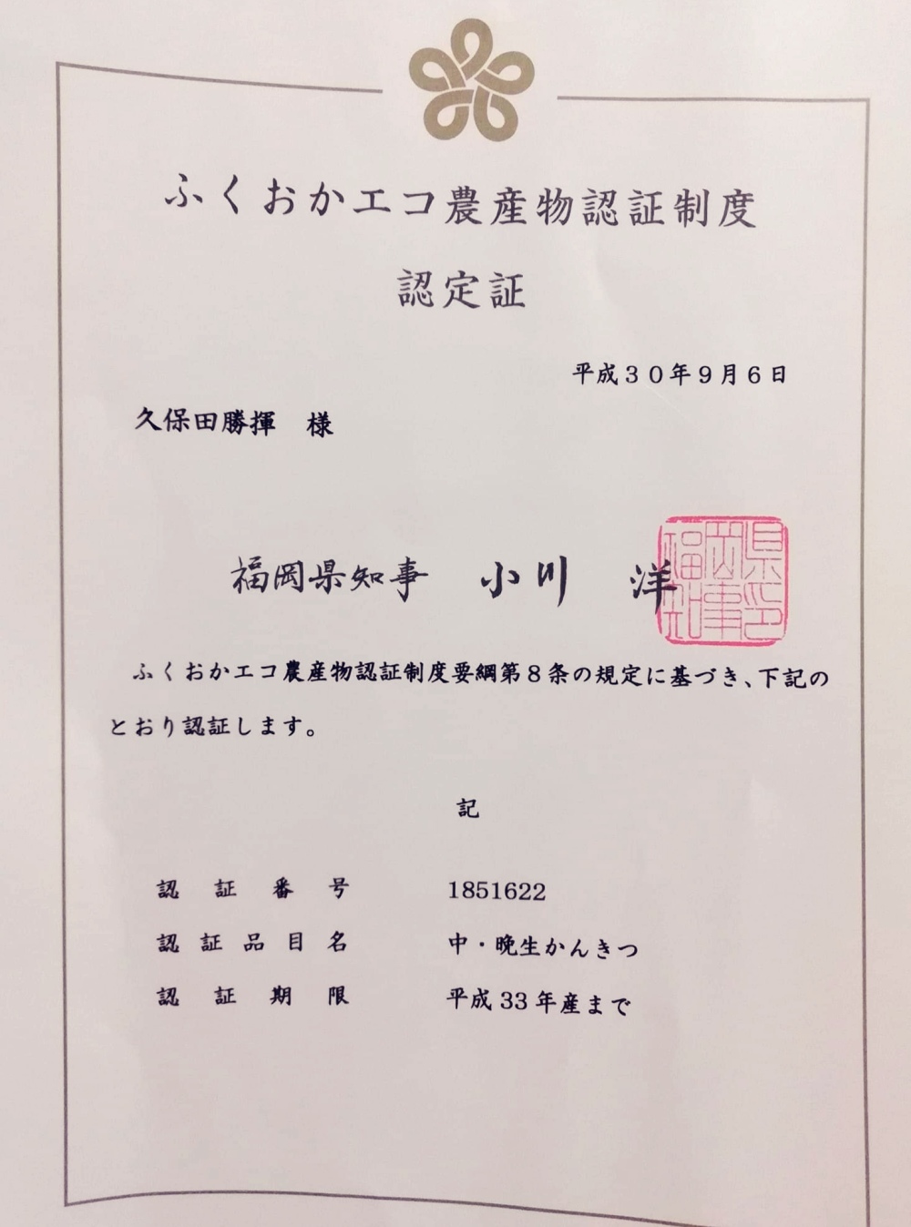 柿じゃないよ みかんだよ 新品種みはや1 5キロ 農家漁師から産地直送の通販 ポケットマルシェ