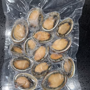 漁師直送！天然冷凍トコブシ５００gグラム