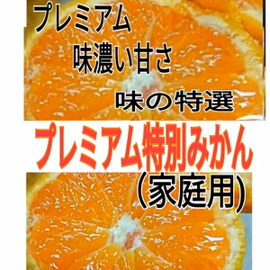 限定】プロ推薦【プレミアム味の特選】お家】濃厚完熟田口早生みかん