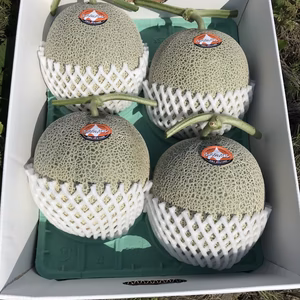 【夏ギフト】甘さもサイズもビッグ！富良野メロン４玉か５玉（８キロ）とろける甘さ