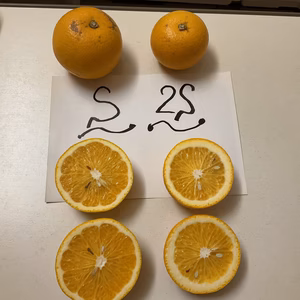   八朔　　　傷　小粒　無農薬　自然肥料　除草剤不使用　わけあり