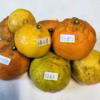 早春の春みかん ジュース用おまかせ詰合せ（箱込4kg）