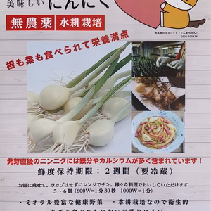 お得な群馬県産満点にんにく（発芽にんにく）200本セット冷蔵便発送