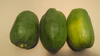 パパイヤ　約2kg　青パパイヤ　高知県産    一年中注文OK　3玉-6玉