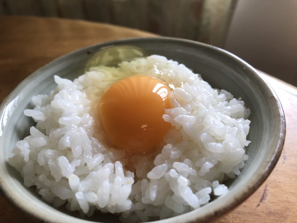 しあわせ卵かけご飯 土佐ジロー20個と平飼い卵10個（本州四国九州