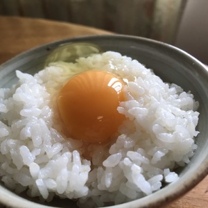 しあわせ卵かけご飯 土佐ジロー1０個と平飼い卵2０個（本州四国九州お届け限定）