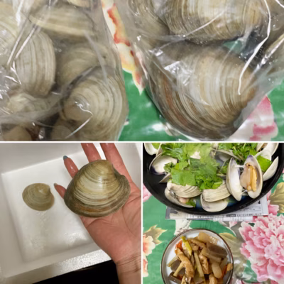 みんなの投稿の画像