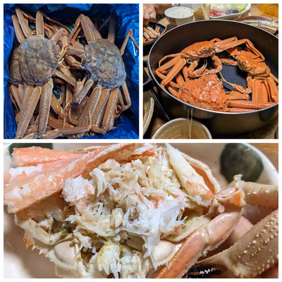 みんなの投稿の画像