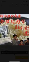 コシヒカリ&つきあかり&こしいぶき＆キヌヒカリ(玄米)  四点セット令和二年産