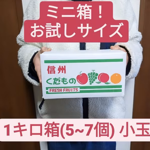【お試し！ミニ箱】サンふじ 規格外小玉 新聞梱包