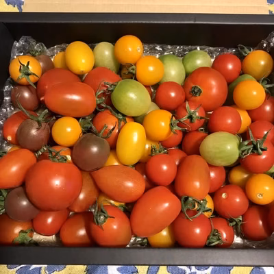 みんなの投稿の画像