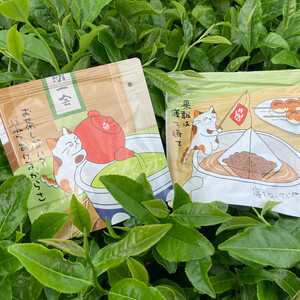 [ポケマル便] 高級煎茶ティーバッグ＆和紅茶ティーバッグのセット