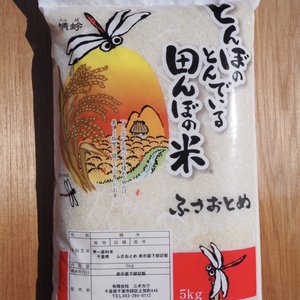 令和2年産　ふさおとめ　白米　5kg
