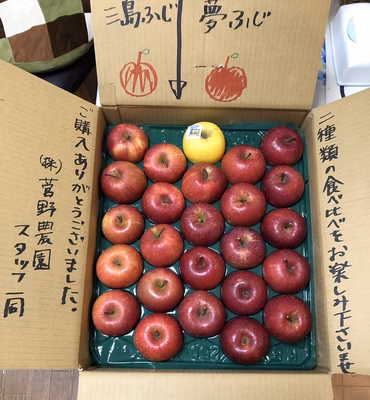 みんなの投稿の画像