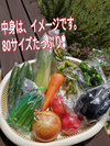 大ちゃんの農園　【たっぷり夏野菜と旬の味詰合せセット❣】