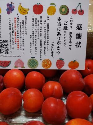 みんなの投稿の画像