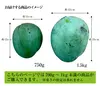 【訳あり】燦々キーツマンゴー（沖縄県産）1玉（700g～1kg未満）
