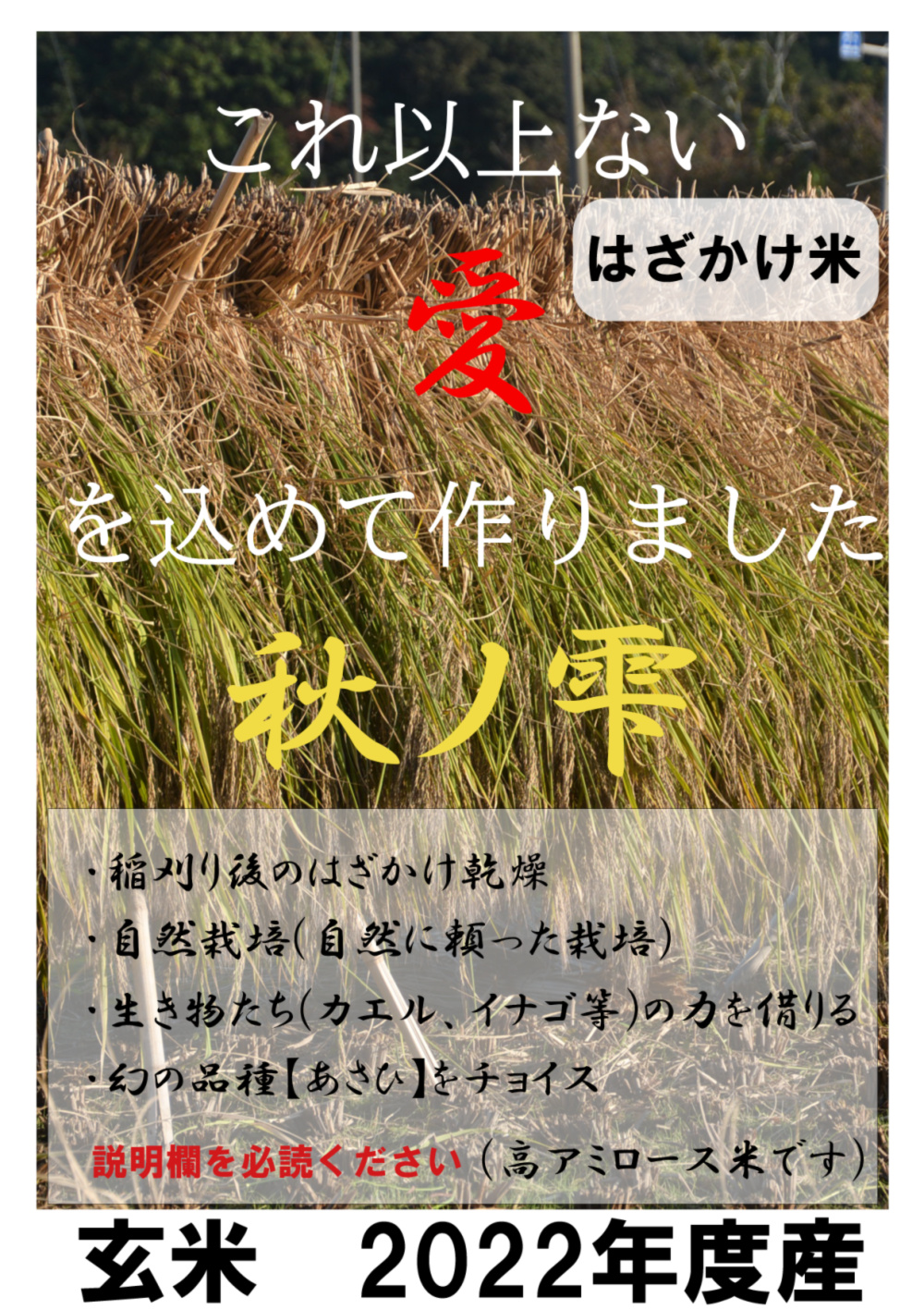 2022年 朝日米2kg玄米 たけ爺ブランド米 栽培期間中無化学肥料・無農薬