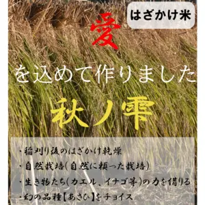 2022年 朝日米玄米　たけ爺ブランド米 栽培期間中無化学肥料・無農薬栽培