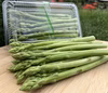 【お買得品：送料込】自然豊かな美祢市植柳で育てたアスパラガスパック（夏芽訳あり）