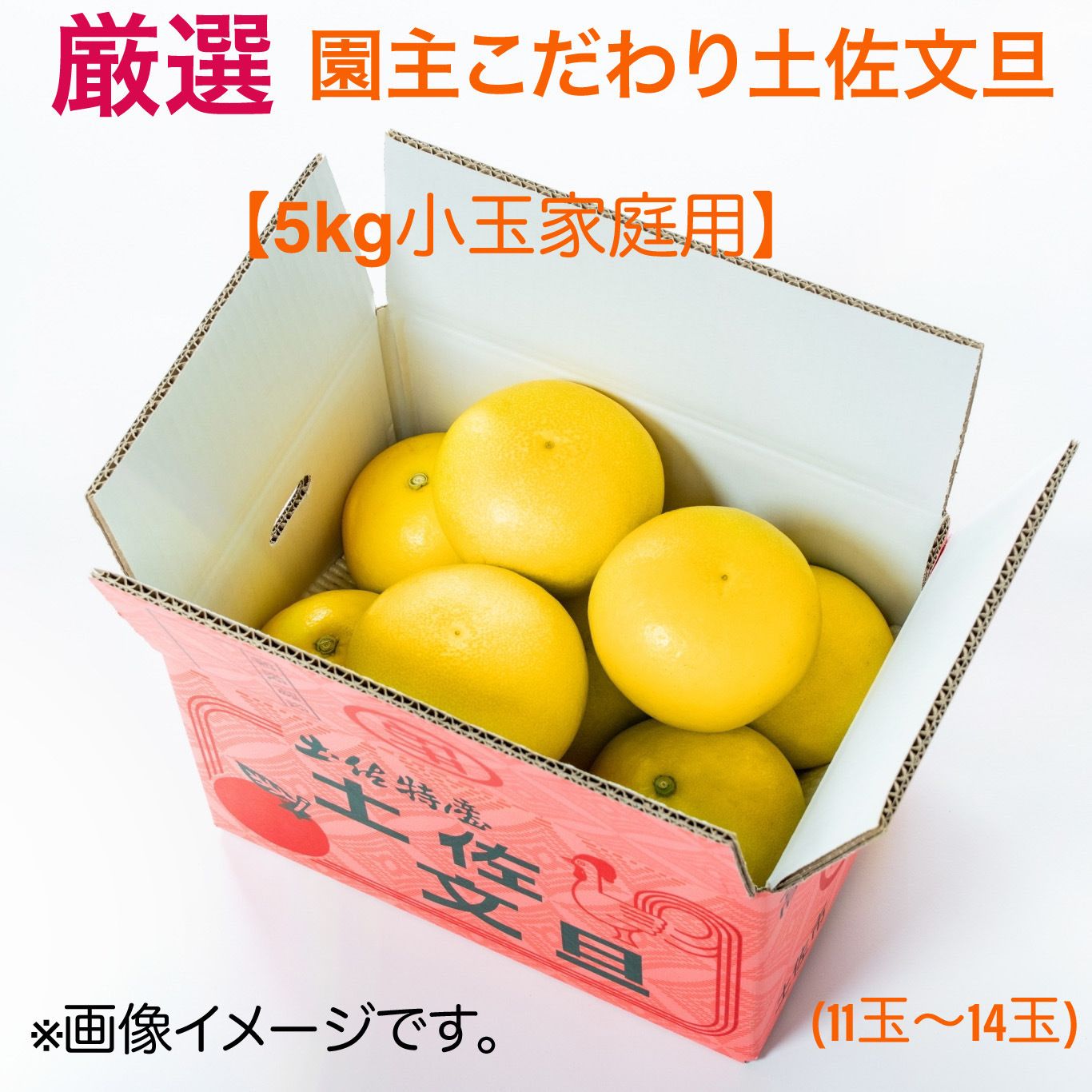 土佐文旦♪5日～発送10kg×2箱2L はる様専用 - 果物