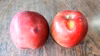 訳あり 紅玉   約2.8㎏