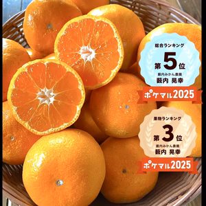 大玉 本気みかん 有田みかん 家庭用 ミカン