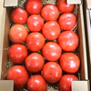 【定期便・月２回】毎日健康を買おう‼︎大玉トマトお買い得定期便