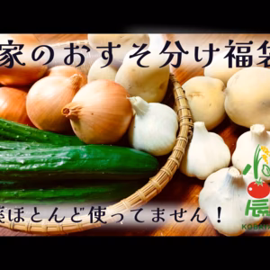 【６周年福袋】農家姉さんのおすそ分けBOX【農カード付き】