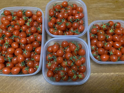 みんなの投稿の画像