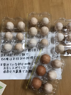 みんなの投稿の画像