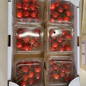 【予約品】山形県寒河江市産さくらんぼ【紅秀峰】フードパック1７0㌘ｘ６
