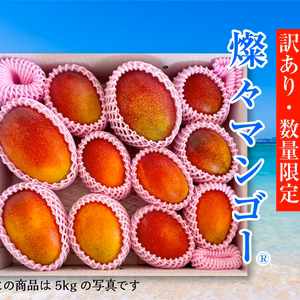 訳あり【樹上完熟】燦々マンゴー（沖縄県産）2.0kg～10kg