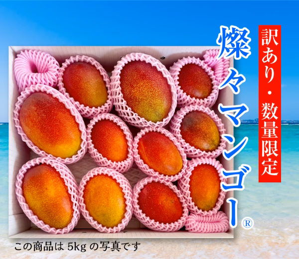訳あり【樹上完熟】燦々マンゴー（沖縄県産）2.0kg～10kg