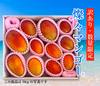 訳あり【樹上完熟】燦々マンゴー（沖縄県産）2.0kg～10kg