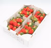 バラ詰め いちご (宮城県産)