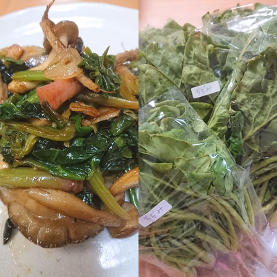 みんなの投稿の画像