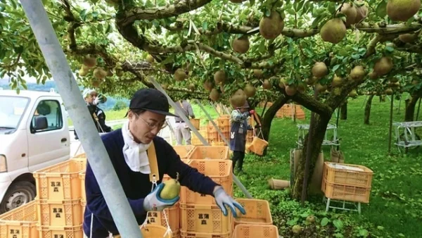 森果樹園