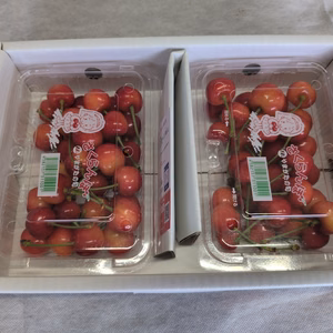【新商品】山形県寒河江市産さくらんぼ【佐藤錦】フードパック200㌘ｘ2