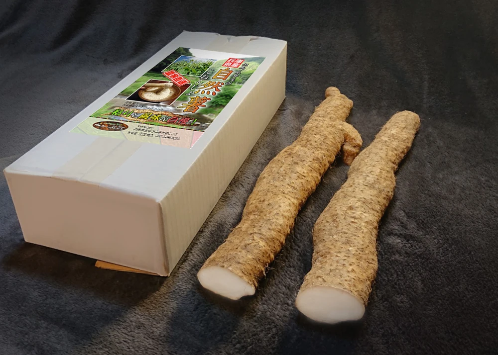 【送料480円】ネバネバは超一級の自然薯800g(2〜4本)
