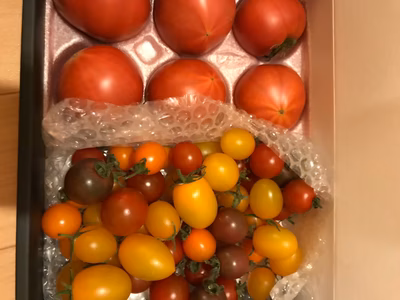 みんなの投稿の画像